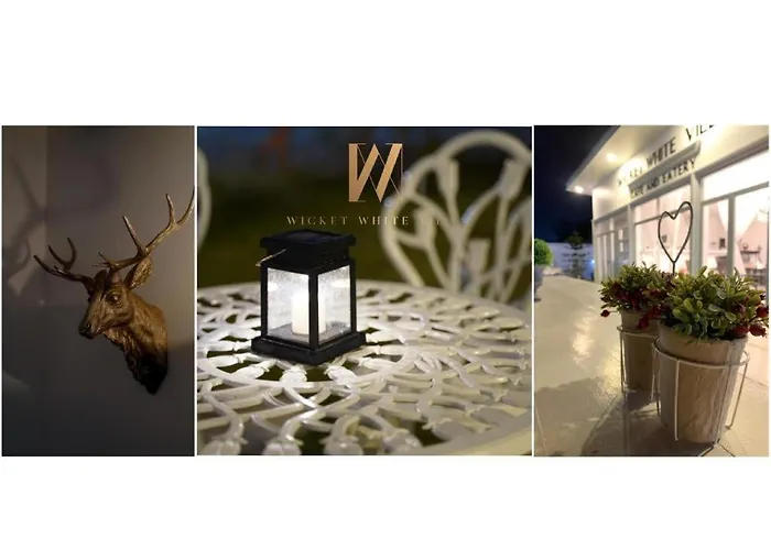 Wicket White Hotel 5*